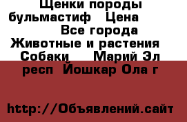 Щенки породы бульмастиф › Цена ­ 25 000 - Все города Животные и растения » Собаки   . Марий Эл респ.,Йошкар-Ола г.